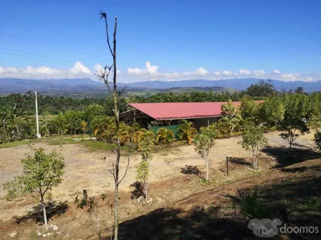 VENTA DE TERRENO RURAL EN SECTOR CHUINA - DISTRITO DE MORALES - TARAPOTO - 1