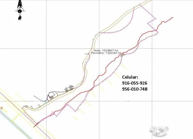 Terreno 123 Hectáreas en San Bartolo - 1