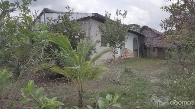 Venta de  propiedad de 8 Has Título , panales de abejas  $ 200,000 - 1