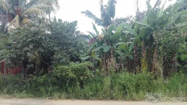 VENDO TERRENO EN SATIPO - 1