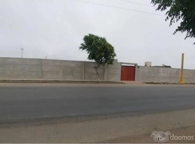 ALQUILO LOCAL COMERCIAL DE 5,000m2 EXCELENTE UBICACIÓN MOCHE-TRUJILLO - 1