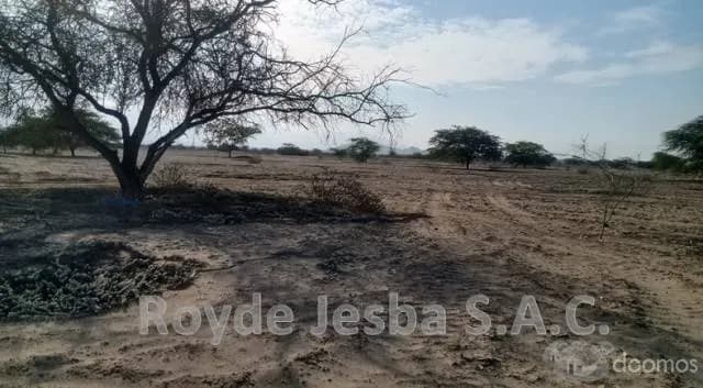 VENDO TERRENO AGRÍCOLA DE 635 Has ( 12,200 m2 ) - 1