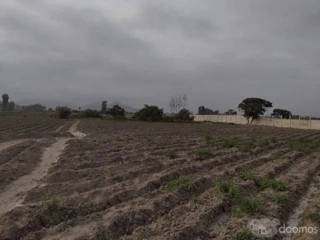 Se vende terreno de 500 metros en Chancay. - 1