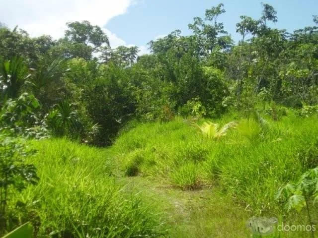 ALQUILO TERRENO PARA SIEMBRA - 1