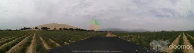 Lindo Terreno en Venta frente a la Panamericana en San Pedro de Lloc - 1