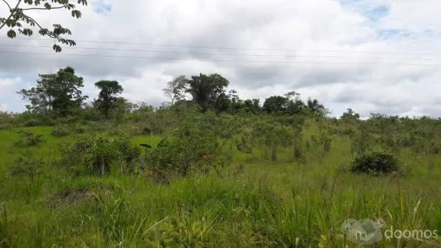 SE VENDE EXCELENTE TERRENO EN CAMPO VERDE-CARRETERA TOURNAVISTA - 1