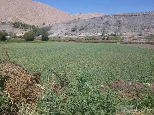 Vendo terreno en camino a Congata - 1