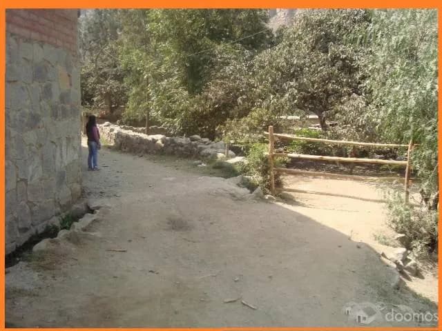 Venta de terreno lleno de cultivos frutales y vegetales; para casa de campo o agricultura - 1