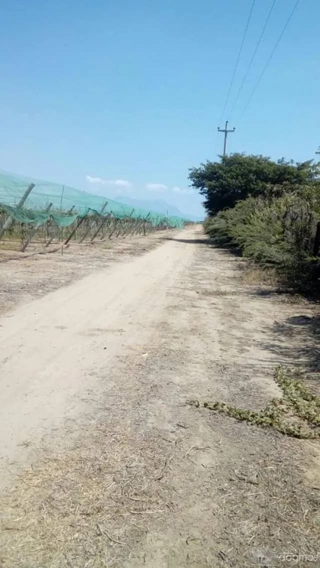 VENTA DE TERRENO AGRICOLA - 1