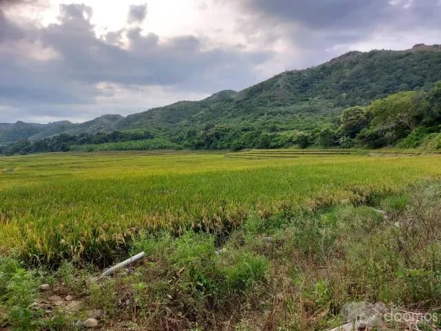 Fundo Agrícola Jaén, Cajamarca 105 ha - 1