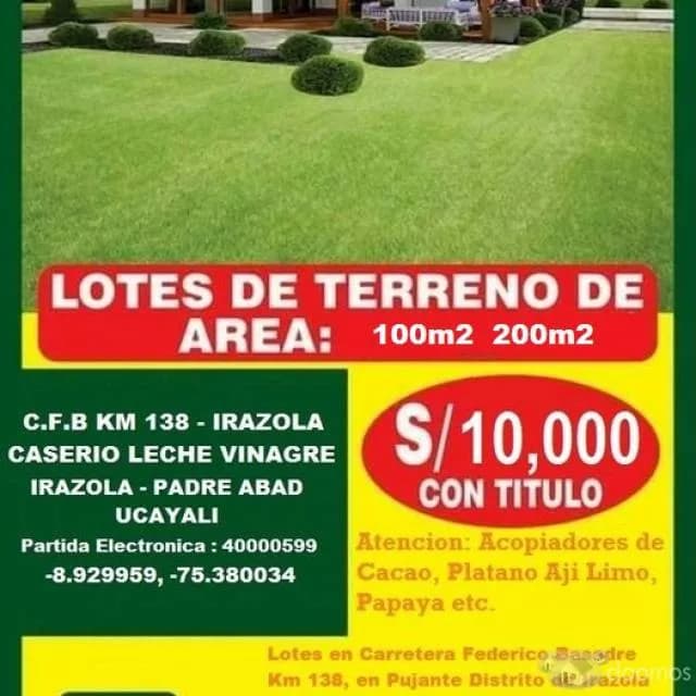 LOTE 300 M2,   CARRETERA CENTRAL KM 138  PADRE ABAD - UCAYALI - 1