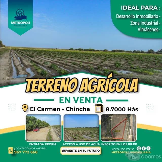 TERRENO AGRICOLA EN VENTA - 1