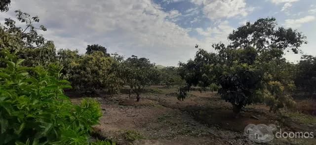 VENTA DE  TERRENO IDEAL PARA CASA  DE CAMPO - 1