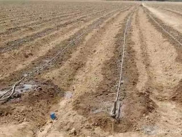 ASOCIACION BUSCA INVERSIONISTAS, TERRENOS AGRICOLAS GANADERAS - 1