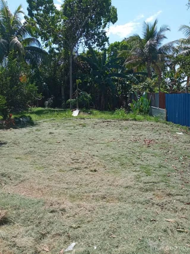 Terreno extenso para recreos, vivienda campestre, la ganaderia etc - 1