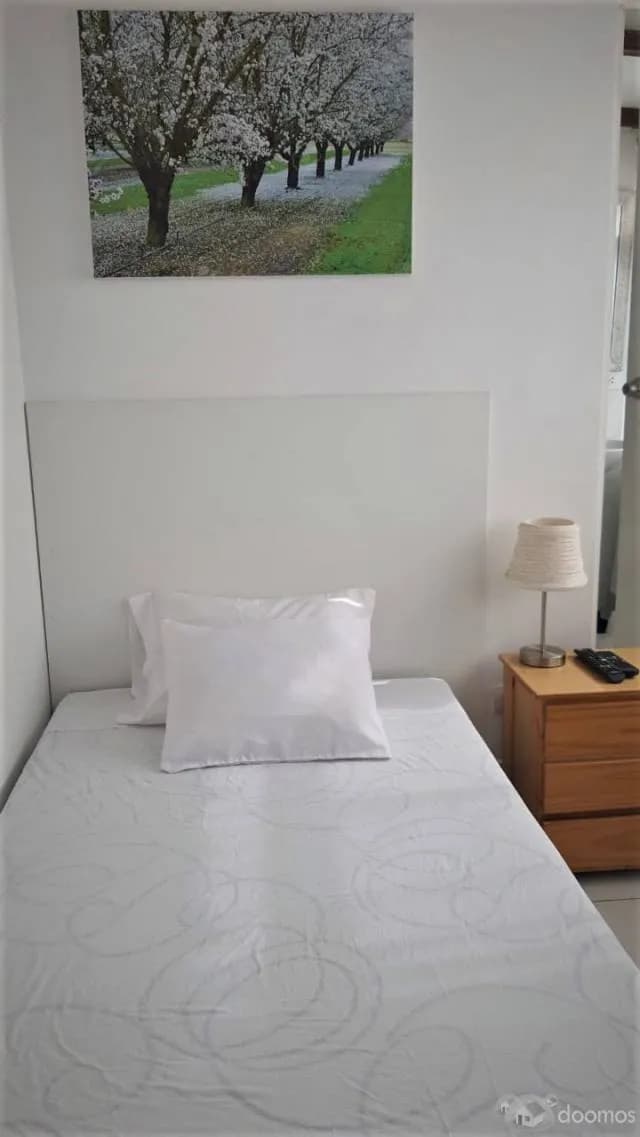 Alquiler de Habitaciones en San Borja - 1