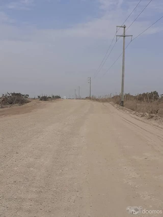 VENTA TERRENO AGRICOLA EN JAYANCA 20Has (LAMBAYEQUE) - 1