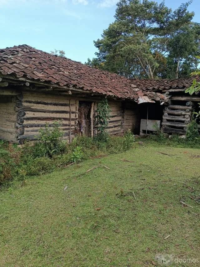 DE OCASIÓN! TERRENO DE 40,000 M2 EN VENTA EN AMAZONAS, PERÚ - 1