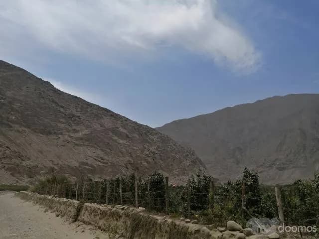 TERRENO 2,500 m² - CALANGO - 1