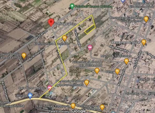 Venta de Terreno 3400M2, tiene viñedos, Grocio Prado, Chincha - 1