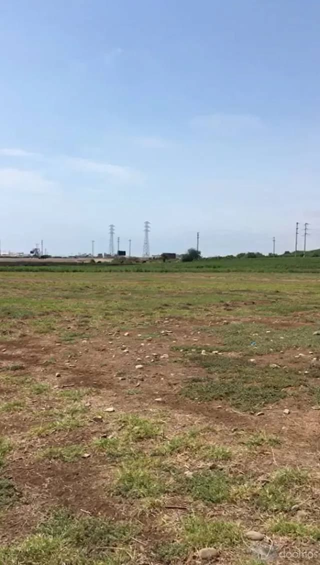Vendo Terreno de 2.5 Hectareas en Chincha - 1