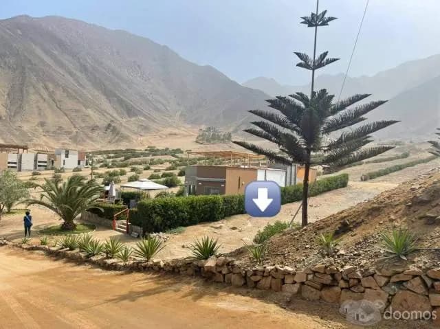 ÚLTIMO TERRENO DE 300 M2 EN CALANGO DISPONIBLE - 1