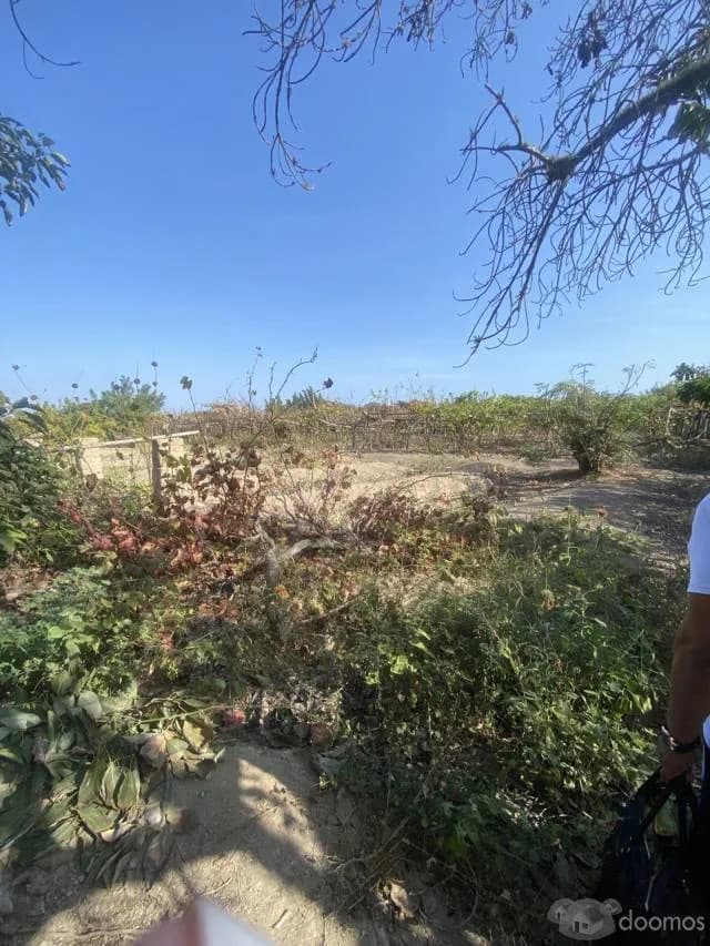 PARCA - TERRENO AGRICOLA DE 1600 M2 - 1