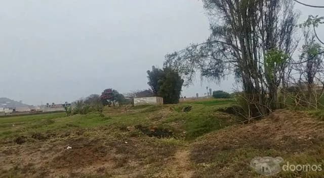 TERRENOS en CERRO AZUL - 1