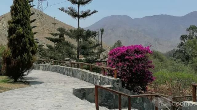 Venta de Lote - Pachacamac - 1