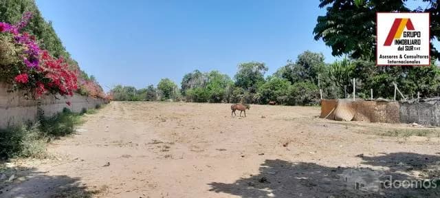 Vendo Lote para vivienda campestre en condominio - Chincha - 1