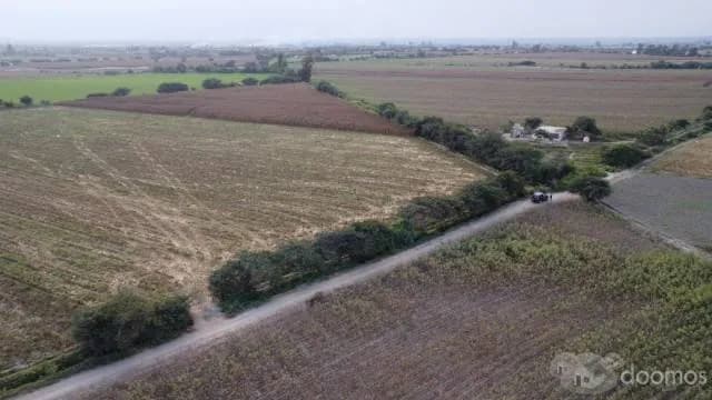 SE VENDE TERRENO DE 4.5 HECTAREAS - SANTA BEATRIZ , PISCO - 1