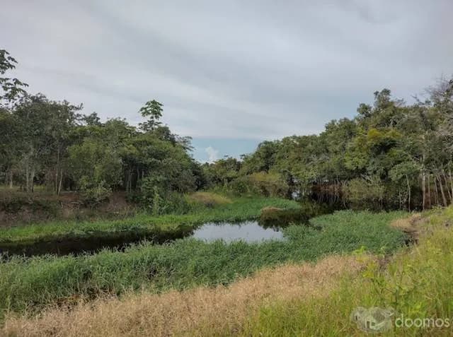 Venta terreno agrícola San Juan Bautista - 1