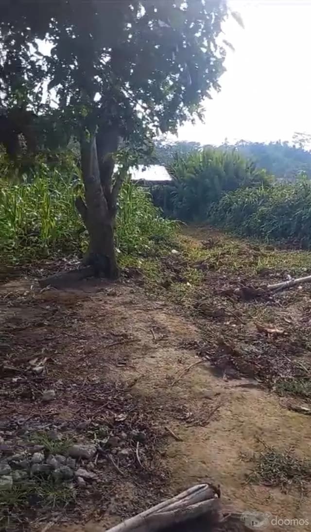 VENTA DE TERRENO EN FUNDO - 1