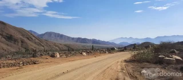 Remato Terreno enorme en Campo Extensión 3809 Ha - 1