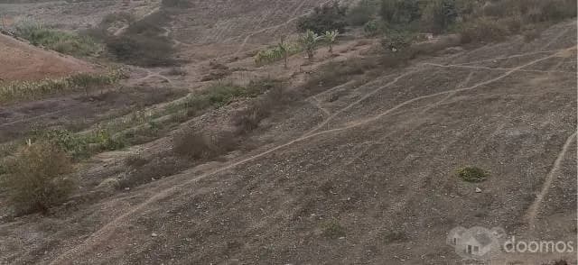 SE VENDE TERRENO DE 44.431,54 METROS CUADRADOS - 1