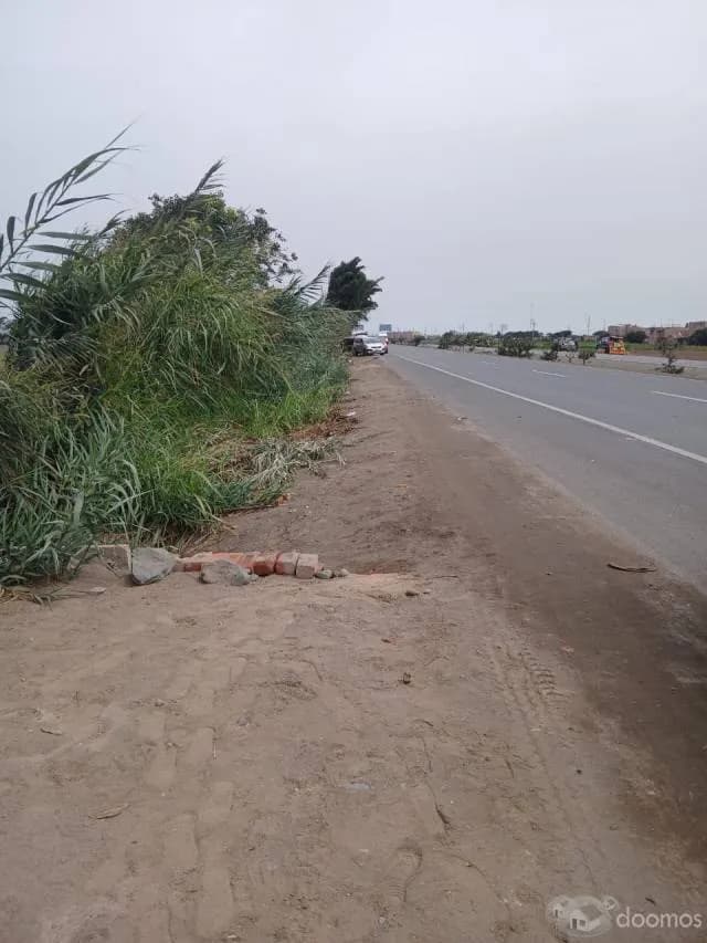 VENDO 4 HECTAREAS EN CHANCAY - 1