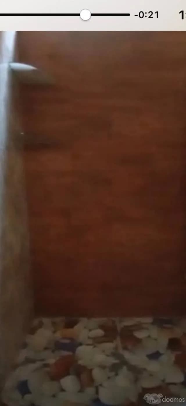 ALQUILO DEPARTAMENTO PARA PAREJA O UNA SOLA PERSONA - 1