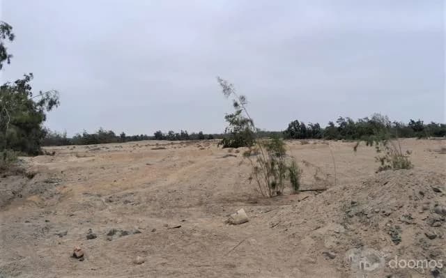 OCASION $9,000 X Has. - AGUA SANTA KM 222 ANTIGUA PANAMERICANA SUR ESPALDA DE AVICOLA SAN FERNANDO - PISCO - 1