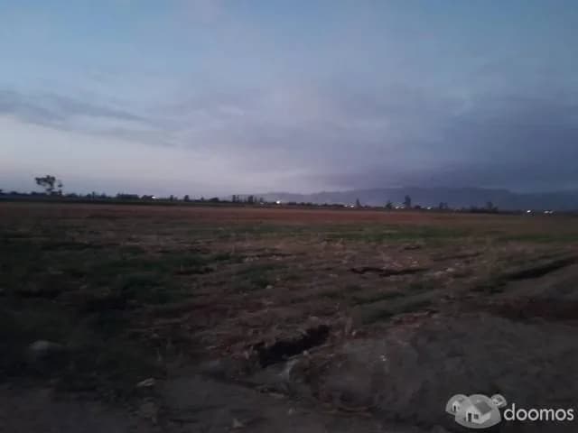 SE VENDE TERRENO DE 5.4 HECTAREAS - SECTOR MANRIQUE , PISCO - 1