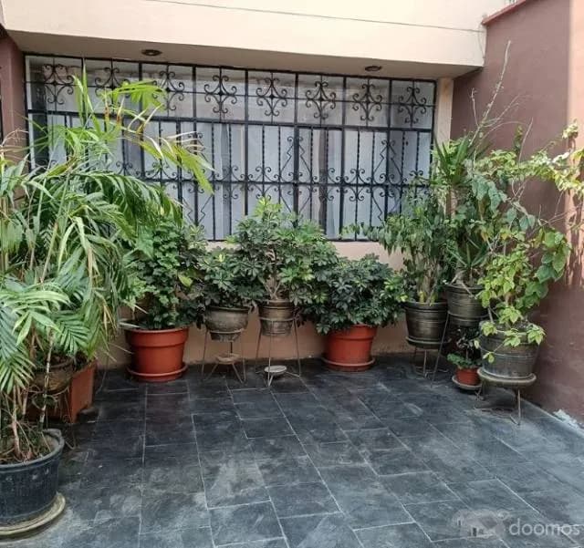 Oficina Ciro Alegria - 1