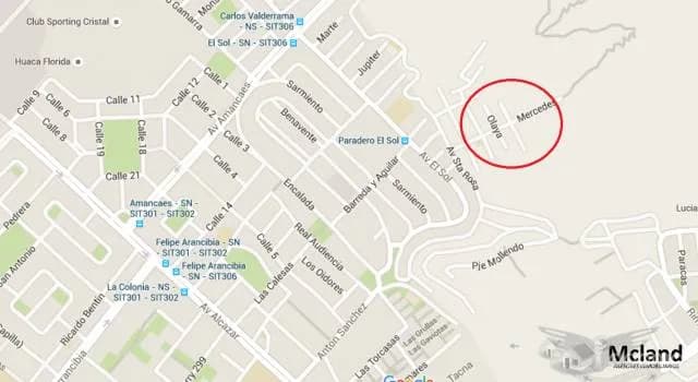 Oportunidad unica de comprar, terreno en Tarma chico,Rimac - 1