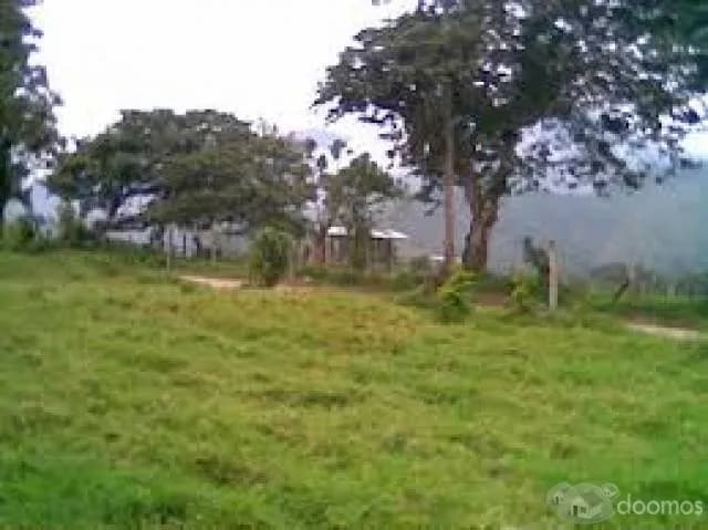 Vendo Maravilloso Fundo La Isla del Gallo en tocache - 1