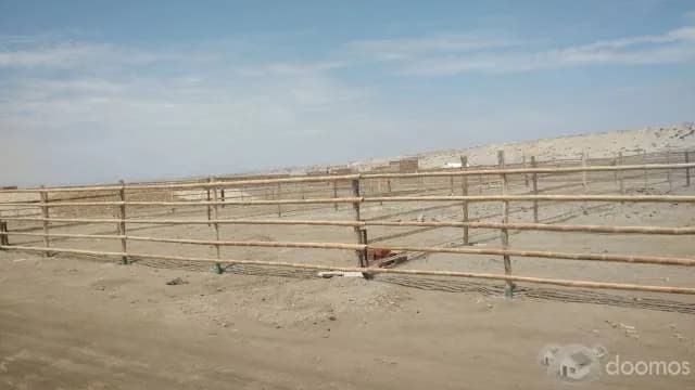 Terrenos de Playa en Colan - Piura - 1
