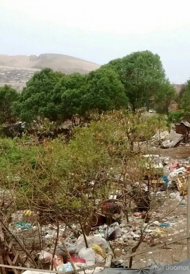 VENTA TERRENO INDUSTRIAL O URBANO EN ZAPALLAL - 1