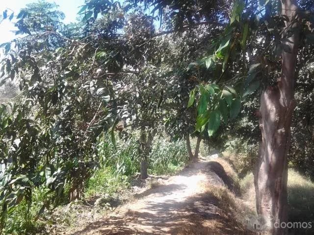 Vendo Terreno en Lunahuana - Sector Langla (a 10 min plaza armas) - 1