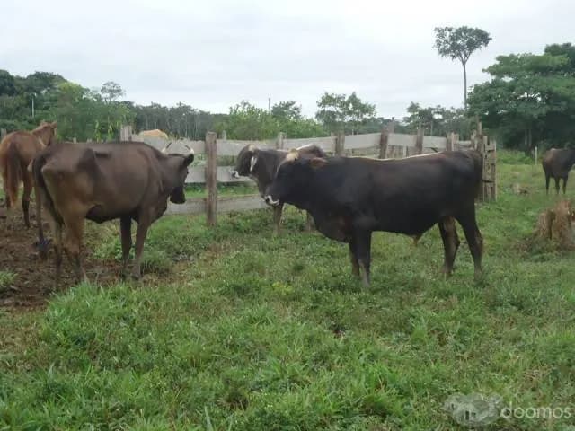 VENTA DE TERRENO - 1