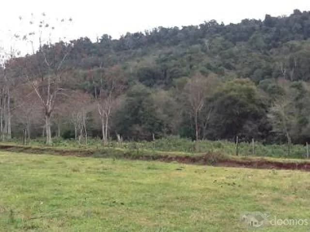 vendo dos lotes de terreno de 106 ha y 96 ha. - 1