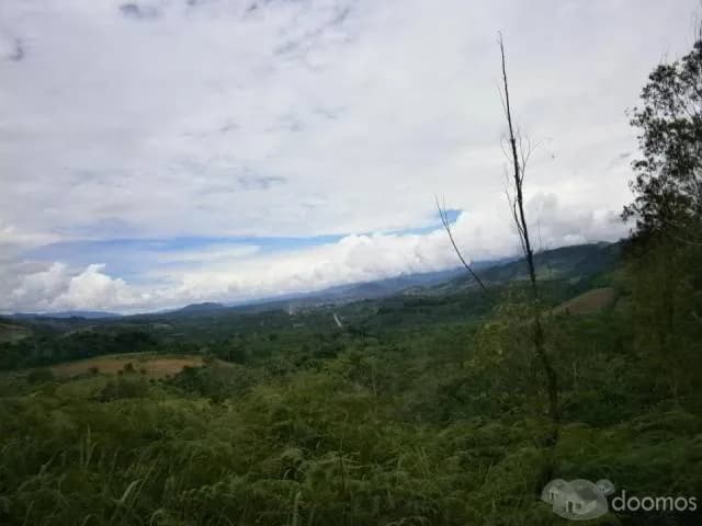 Terreno  Carretera Marginal 5.5 km - 1