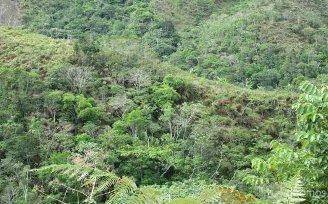 REMATE DE UN TERRENO ESPECTACULAR POR VIAJE!!! - 1