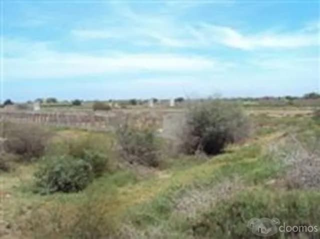 Vendo 27 hectáreas carretera a Puerto Eten - 1